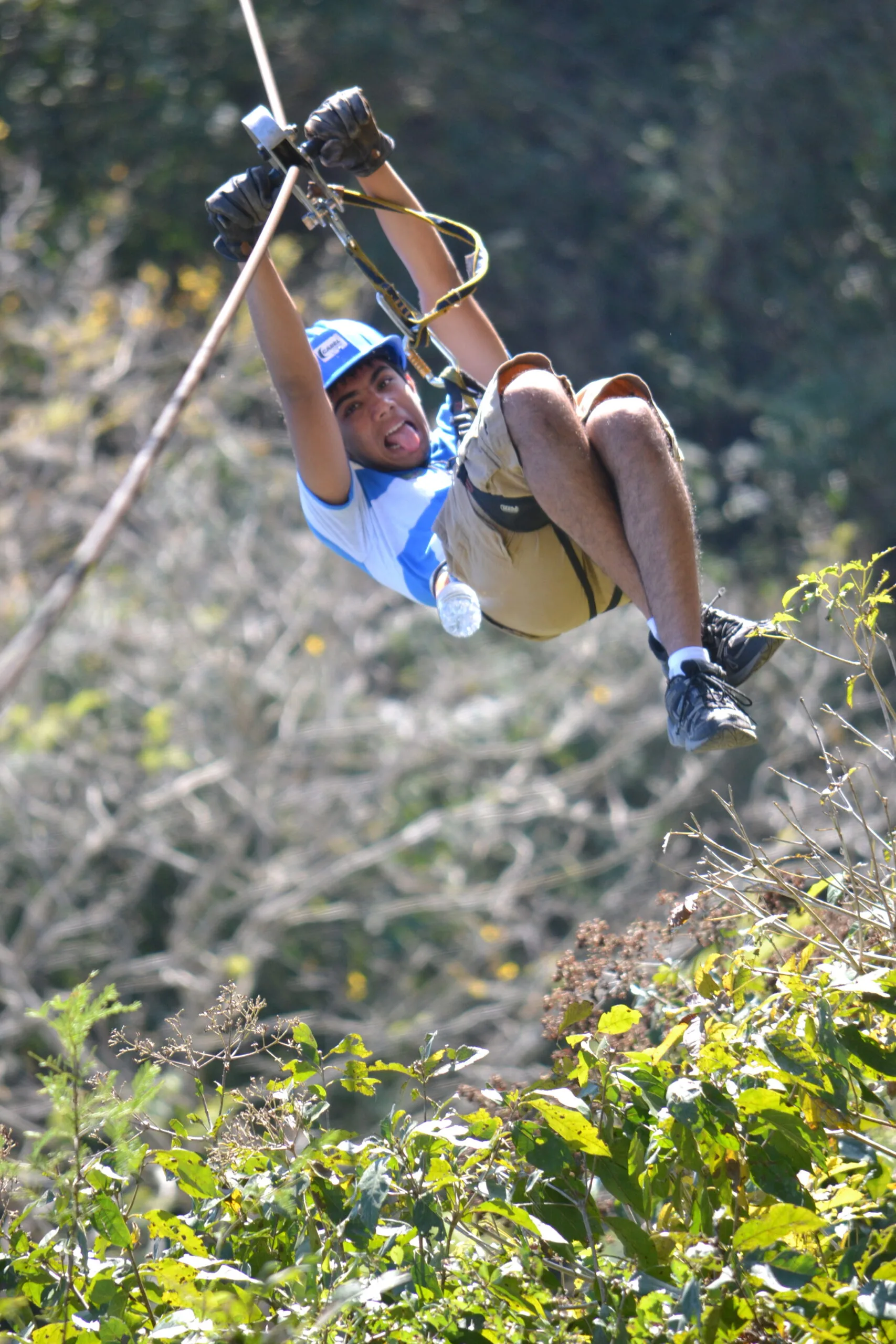 Zipline Adventure