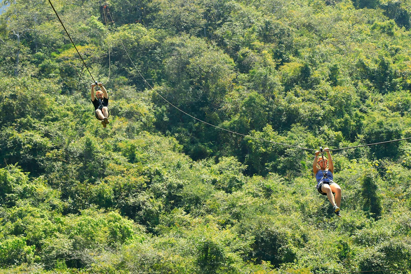 Zipline Tour