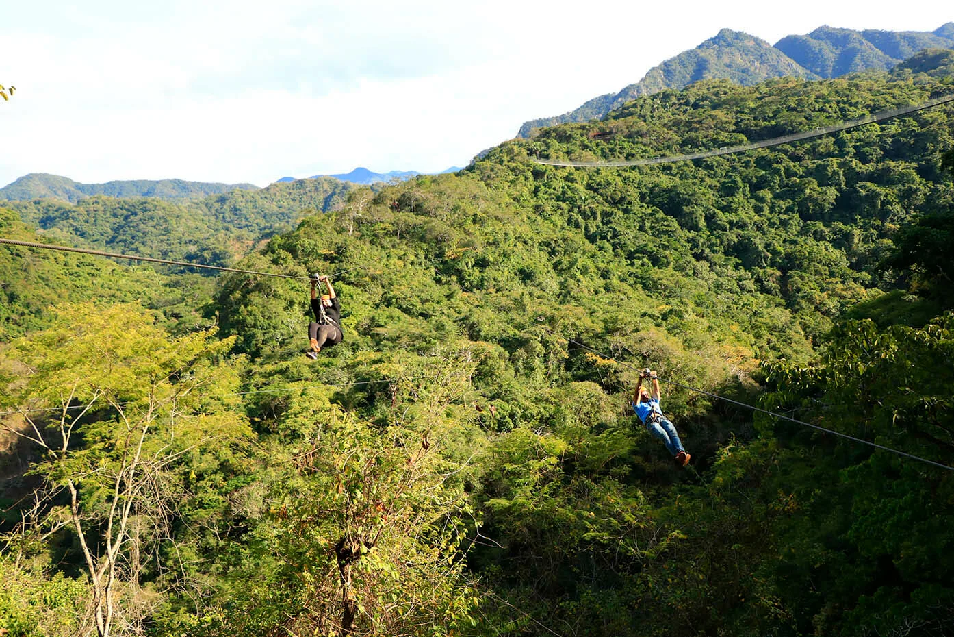 Zipline Tour
