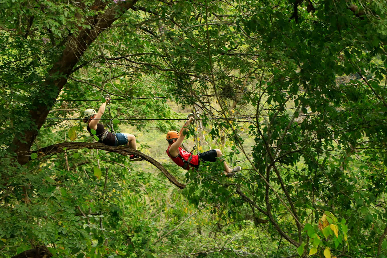 Zipline Tour