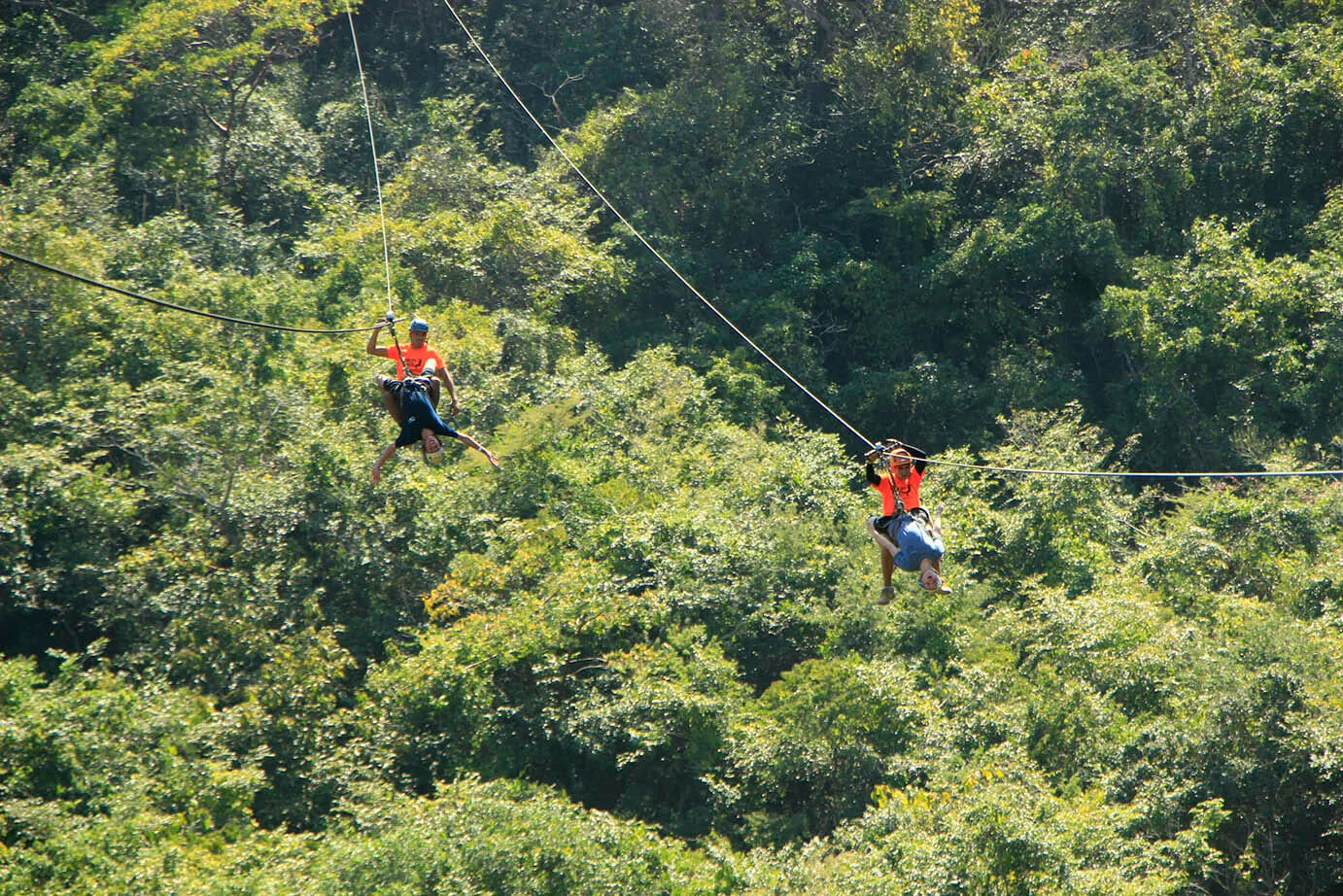 Zipline Tour