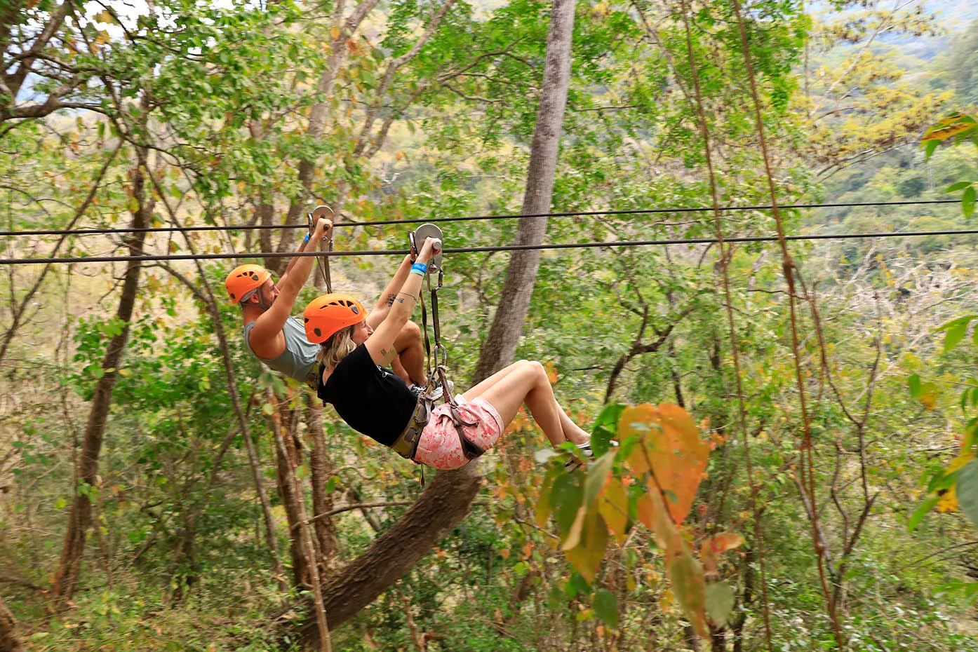 Zipline Tour