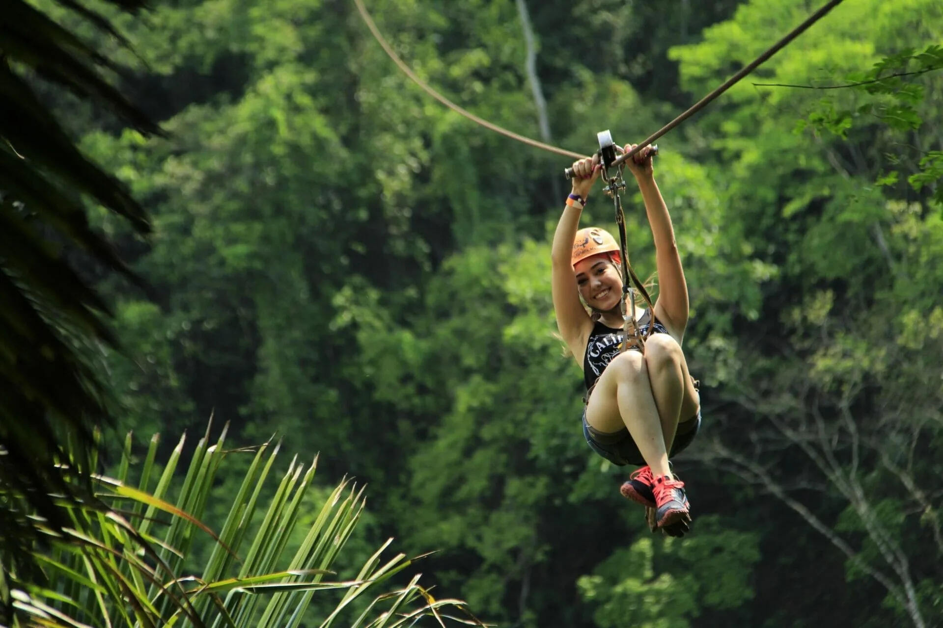 Zipline Tour