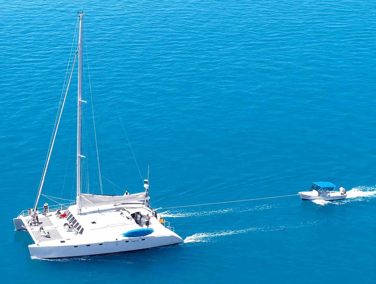 Whale Shark Swimming and Sea Lion Snorkel - All Inclusive