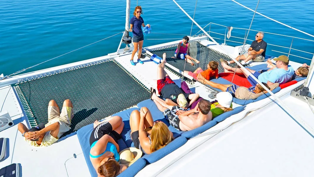 Whale Shark Swimming and Sea Lion Snorkel - All Inclusive