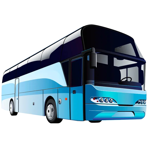 Party Bus Services
