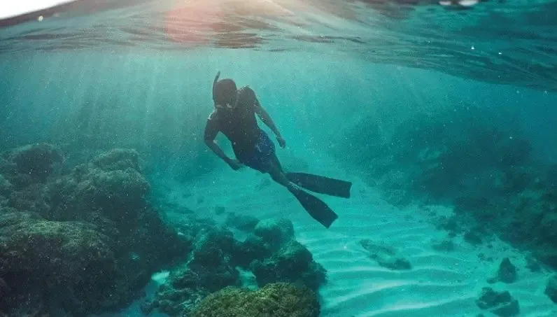 Snorkeling on Cabo Reefs