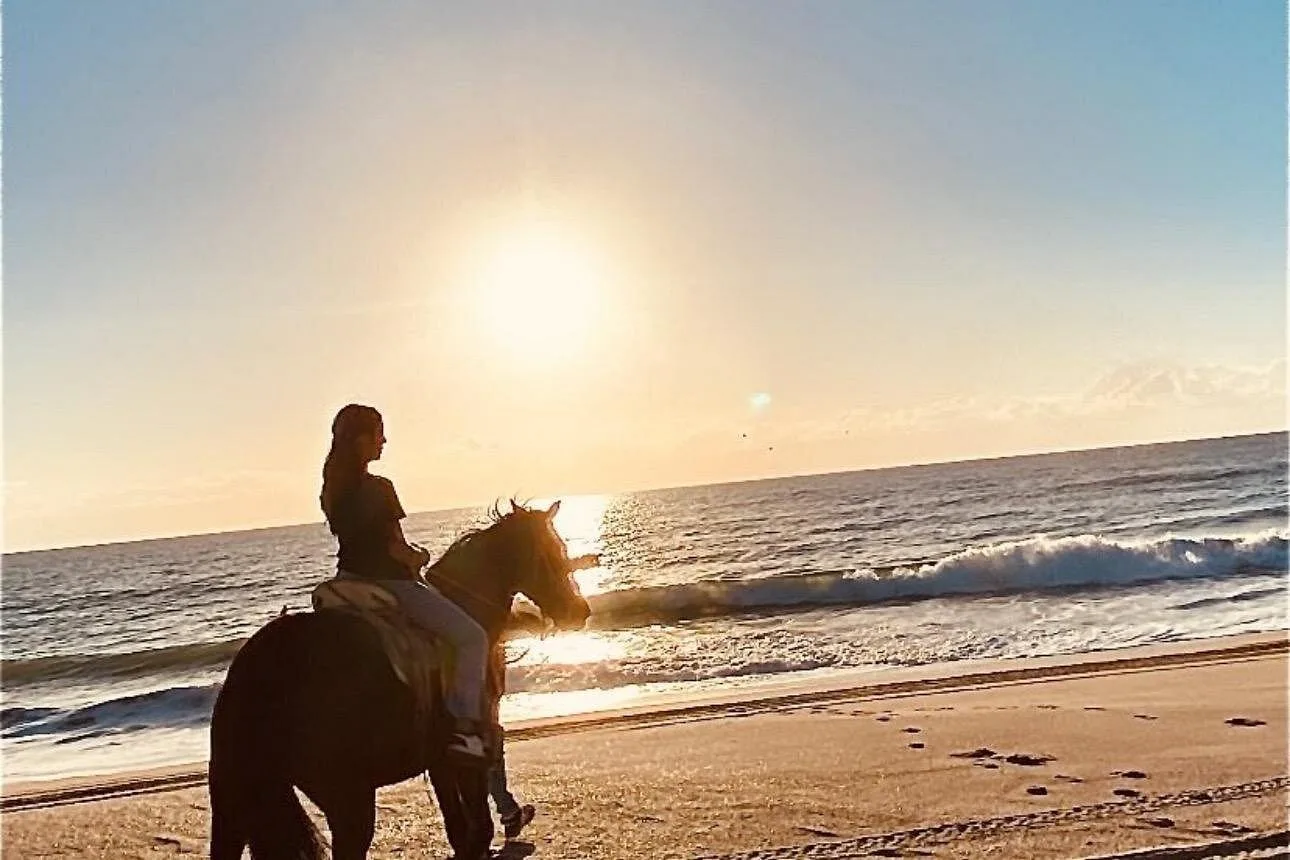 Horseback Riding
