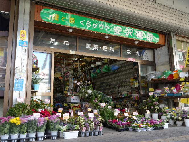 安澤種苗店