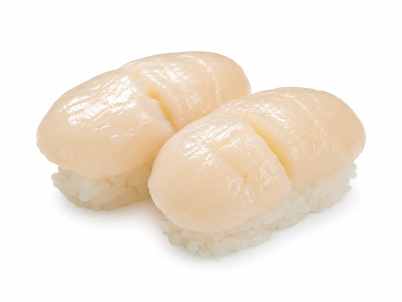 Scallop