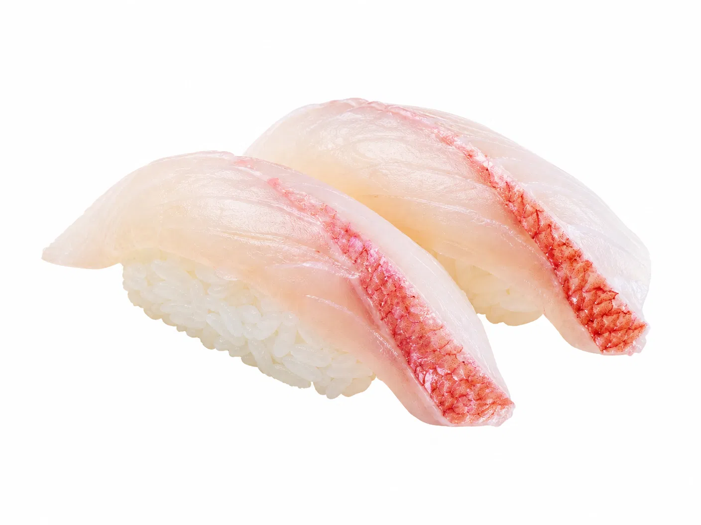 Red Snapper