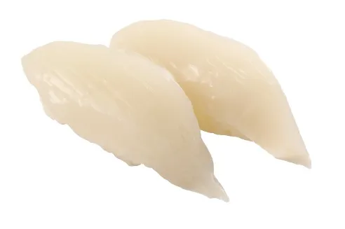 Squid