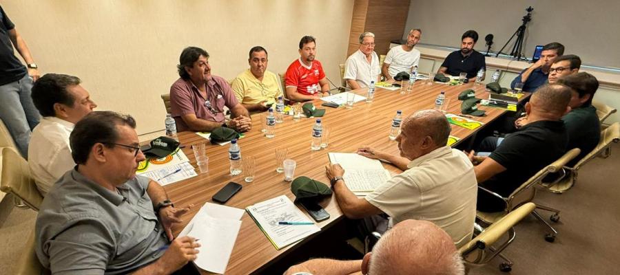 Conselho técnico define fórmula da Divisão de Acesso do Goianão 2026