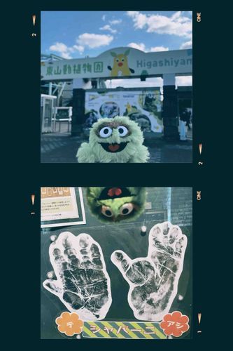 シャバーニもデカいトカゲも観れたけどマヌルネコ、、、工事中と思って見逃したよ〜（なんで？）
