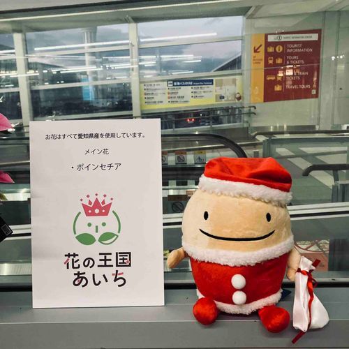 すみっコぐらしと思って近づいたら違った✈️
初ぬい旅終わり〜
また行こう🏯