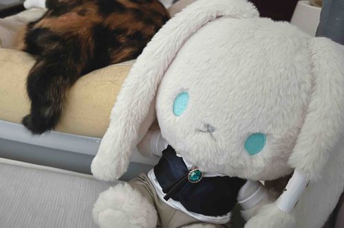 おはようございます、僕は今から寝ようとしています。