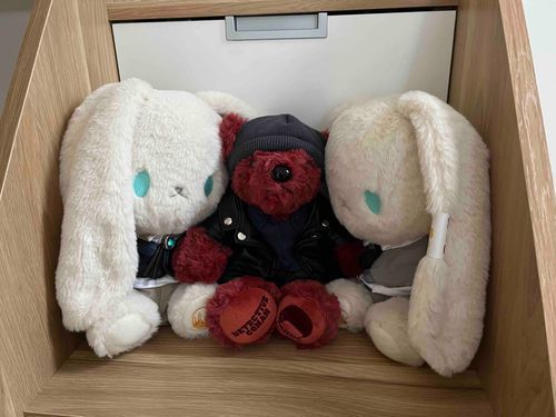 新しい家に！