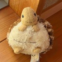 かめまる