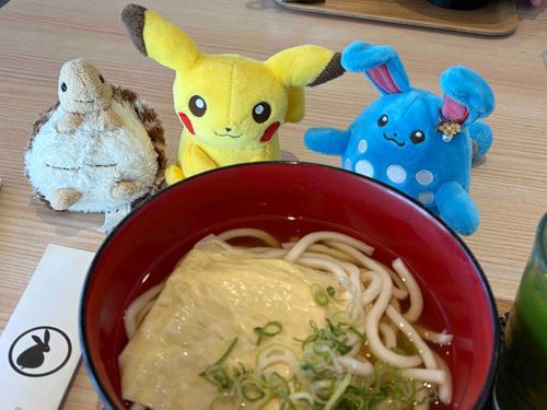 湯葉がのってる、うどんだ！