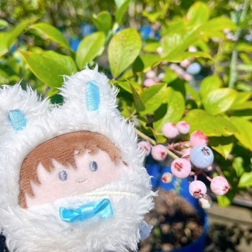 みんのおうちのしゅんくん