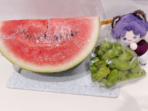 野菜の直売所で大きなスイカと生ホップを買ってきたんだって。
スイカ、美味しそうだね。僕にもちょーだい🍉