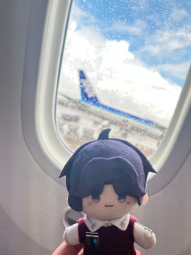 飛行機は苦手だけどボディーガードさんと一緒だから頑張って乗れたよ、、、