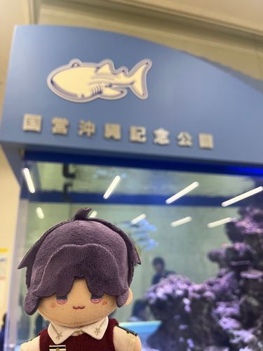那覇空港の水槽だよ🐟
明日は美ら海水族館に連れていってくれるんだって！楽しみだね