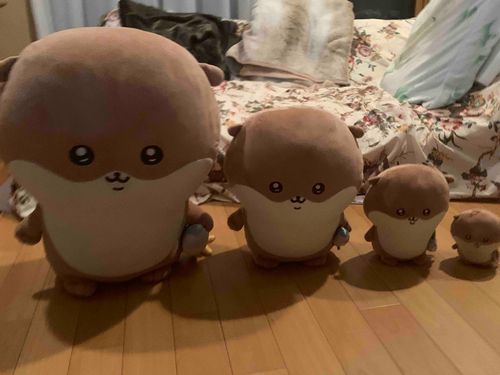 かわうそのくにへようこそω