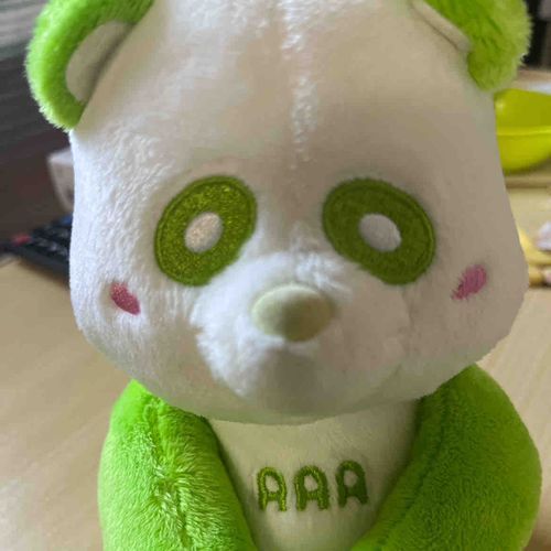 ごく普通の主婦の主とえーパンダ達との暮らしを綴ってます🐼🍀*゜
