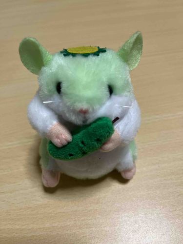 今週金曜日から旅行だから、ドキドキワクワクしてるの〜！！
この家に来て初めてだよ💭

楽しんでくるね☆