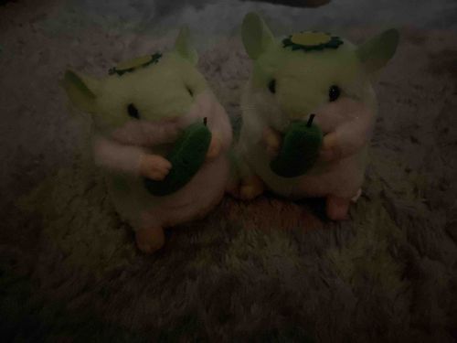 夜中のぬい撮りワクワクするね💕︎
