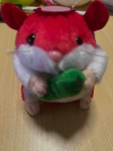 久々の投稿！
仲間が増えましたー！
名前はいちごちゃんです🍓
これからもよろしくね！