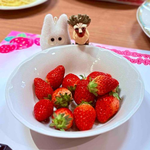 ベリーツもたくさんたべたよ