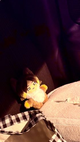 かいぬしの給油に付き合ってくれるちみすな🙏