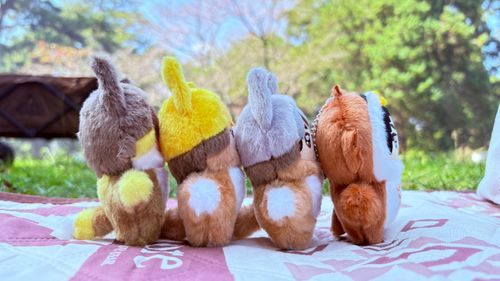 かいぬしのお友達のおうちのちみあしくんと。
肉厚ちみあし🦉