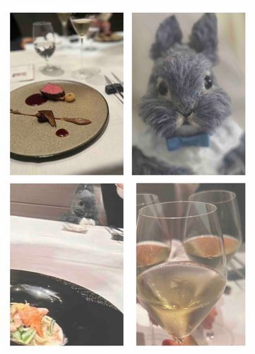 🎂HPB


大好きなママのお誕生日だったから
おしゃれをしてお祝いしてきたよ！
お店のひとがお料理の紹介を
ひとつずつしてくれてドキドキ
僕マナーよかったかなぁっっ

ママお誕生日おめでとう🎊



