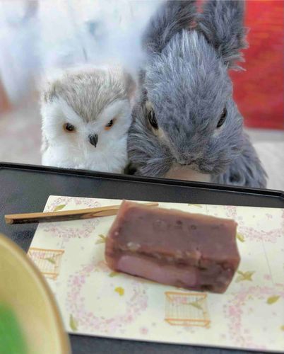 🌸春気分


違うご用事でおでかけだったのに、限定ものにつられて さくら のおもちが入ったようかんを買ってしまったよ😊🌸
お口の中で さくらの香りが広がった~💗