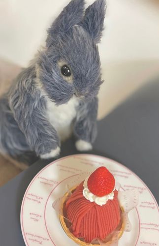 🍓ひとめぼれ



ふわもこふれんずの 
ちゅん太くんが食べていた 
いちごのモンブランを食べたよ
☺️✨


真っ赤なドレスに
完璧なフォルムで
僕すっかりトリコだよ🍓