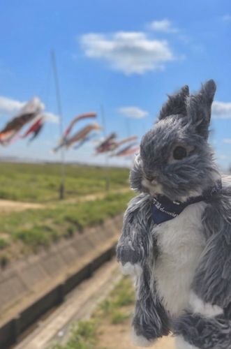 🎏


仲良くならんでおよぐ
こいのぼりを見てきたよ〜！
すごく強い風の中 
みんな元気いっぱい
スイスイス〜イ〜〜🎏💨