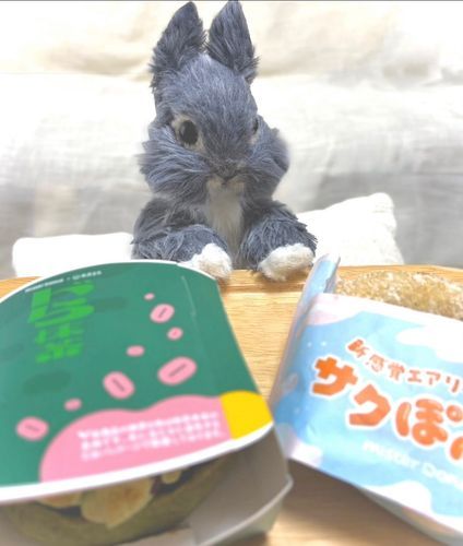 🍩ドーナツ哲学



探している時は見つからず
忘れた頃にやってくる

人生もドーナツも
そんなものって学んだ日だったよ🍩

やっと金曜日だね🌼
おつかれさま ~😊