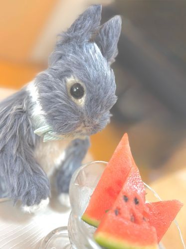 🍉🥄



今シーズンはじめまして❣️
夏みたいに暑いなぁと思ってたら、我が家にスイカ🍉が
やってきて夏先取りしちゃったよ〜っ🤭✨