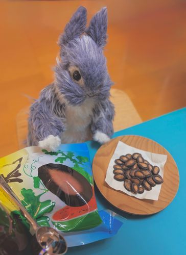 🍉スイカのたね



今日のおやつは 
中国の おみやげでもらった
スイカ、、の たね⁉️

スイカのたね…

食べちゃったけど
おへそから芽が出ないか心配してる…🌱
