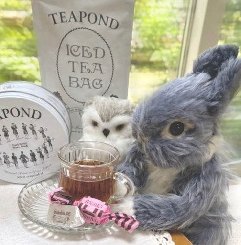 ☕️🫖お茶の時間




今まで近くにお店がなくて
お取り寄せでしか買えなかった
お紅茶TEAPOND
近くにお店がオープンしたから
いつでも買えるようになったよ～
うれしいな🎵

カファレルのチョコレートと一緒に
お茶の時間を楽しむよ😊✨