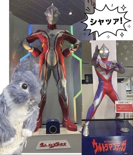 💡ヒーロー


おでかけした時に
ウルトラマンさんに会ったよ〜❣️

左のメビウスさんは見上げる大きさ
4メートルもあるんだって‼︎
前にあるボタンを押すとメビウスさんの掛け声が聞けるんだｮ🤭

みんなを守る正義のヒーロー✨
憧れちゃうな💓