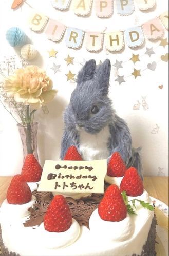 🎂僕のお誕生日



今日は僕のお誕生日🎂

朝は雨だったのに
だんだん晴れておひさまに会えて
うれしい日になったよ~🎶

だいすきなケーキ屋さんの
チョコレートケーキを食べるんだぁ💓