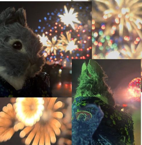🎆花火🎇



ヒュ〜〜… ドッカーン‼️

たーまやー‼️
花火大会に行ってきたよ
夜空に大きなお花が満開咲き乱れ~
キレイだった~✨