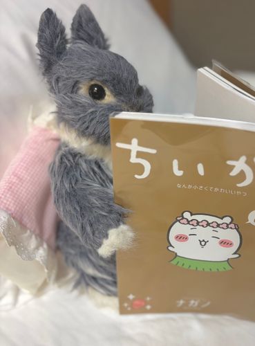 🧜🏝️


ちいかわさんの映画を
本でおさらいだよ~☺️🎶
