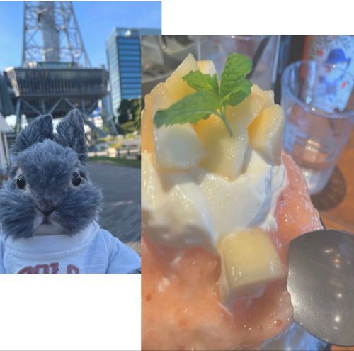 🍑🍧✨


ちょっと都会に繰り出して
もものかき氷食べてきたよ🍑
もも おいし〜い😋