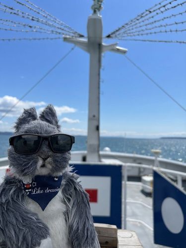 🚢🏝️


夏の終わりのクルージング🕶️✨
青い空と海を独り占め❣️
最高に気持ちいい〜🌊

