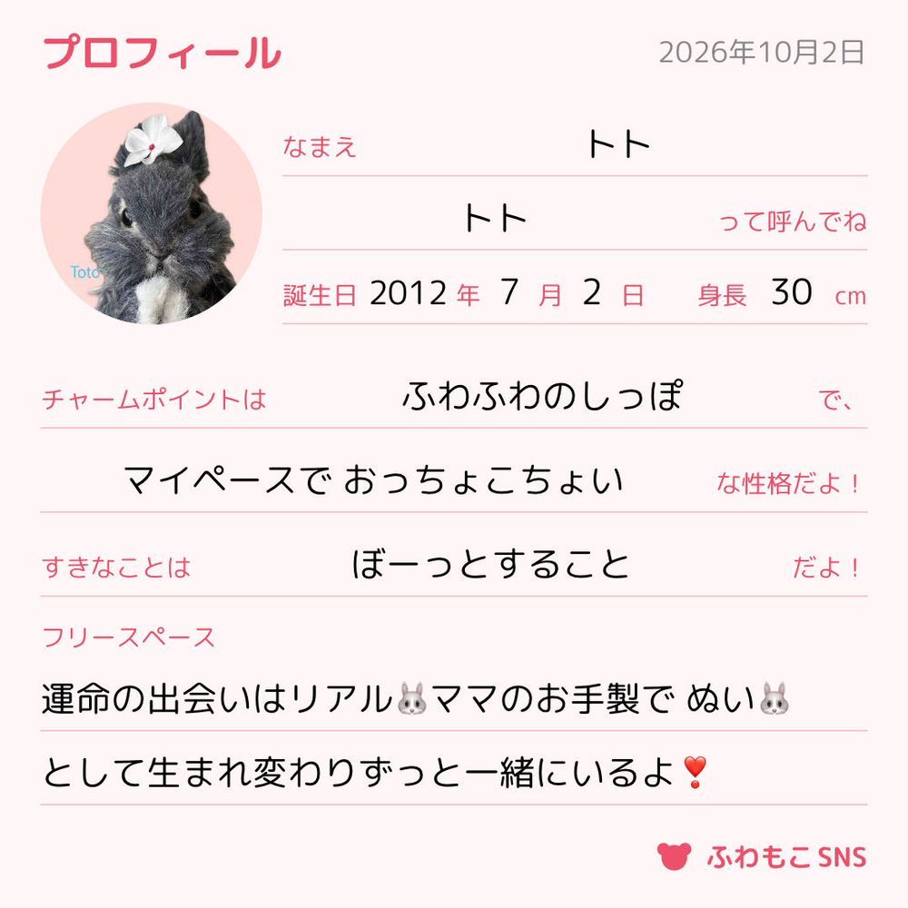 🐰僕もつくってみたよ~🎶
プロフィールでみんなのコト知れるのうれしいなぁ☺️🎶
これからもよろしくね💓